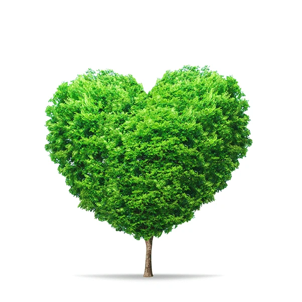 Árbol